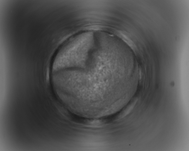 X0000092070301200710031123