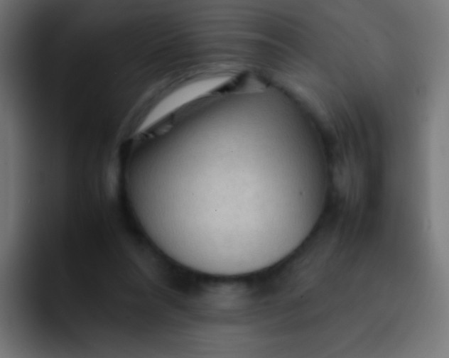 X0000092070304200710031123