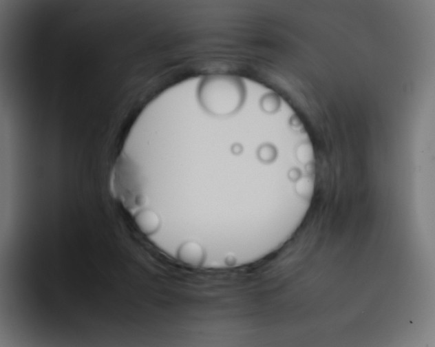 X0000092070307200710031123
