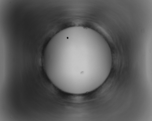 X0000092070313200710031123