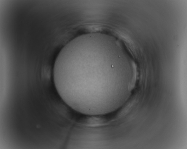 X0000092070315200710031123