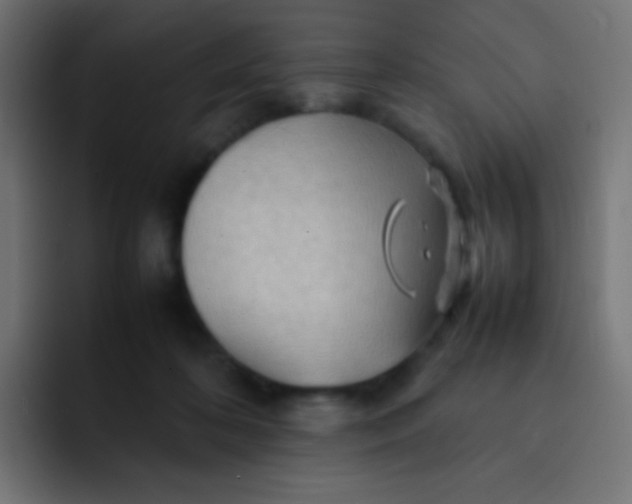 X0000092070316200710031123