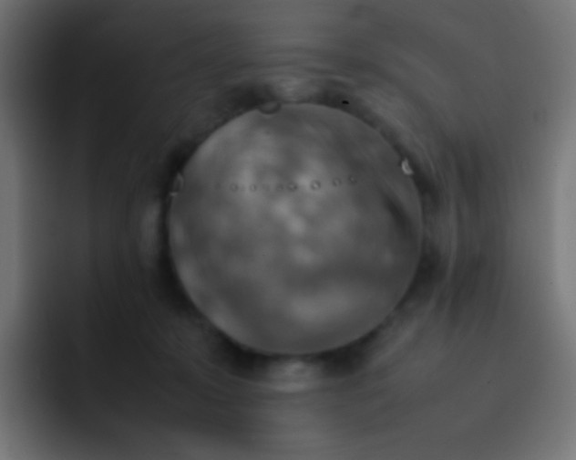 X0000092070319200710031123