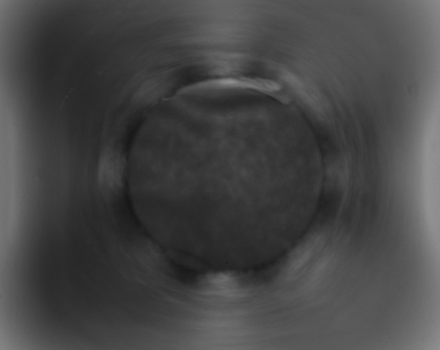 X0000092070325200710031123