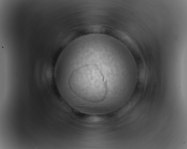 X0000092070326200710031123