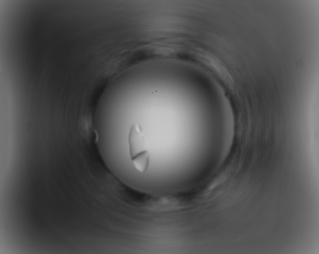 X0000092070329200710031123