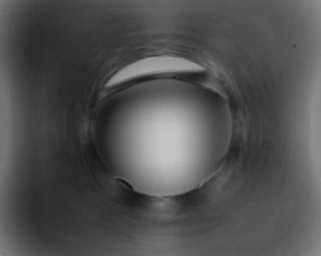 X0000092070333200710031123