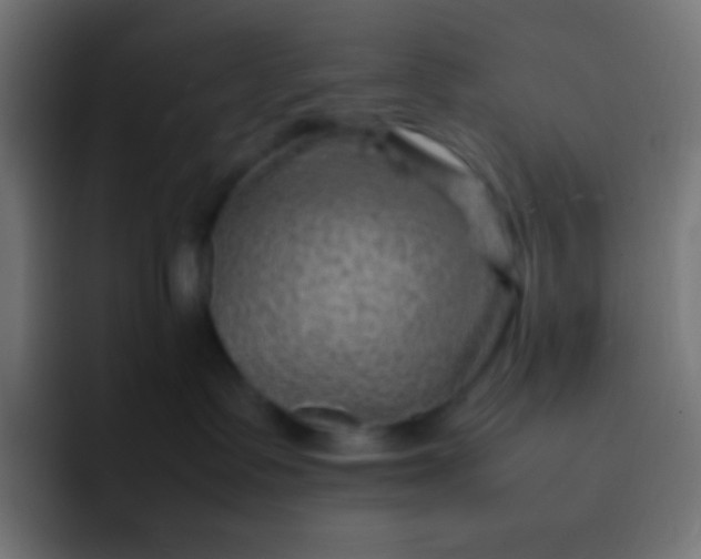 X0000092070335200710031123