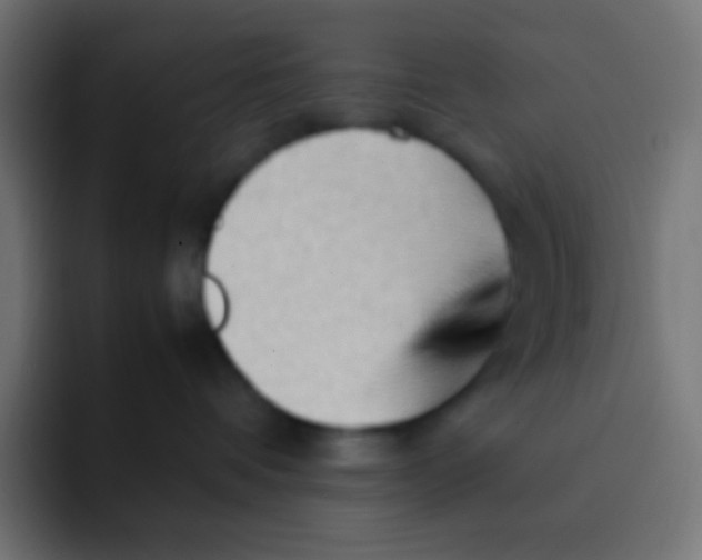 X0000092070336200710031123