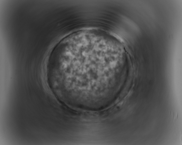 X0000092070337200710031122