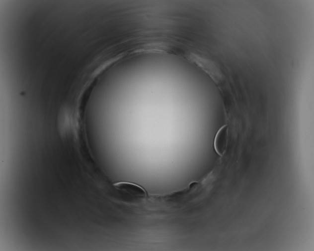 X0000092070338200710031122