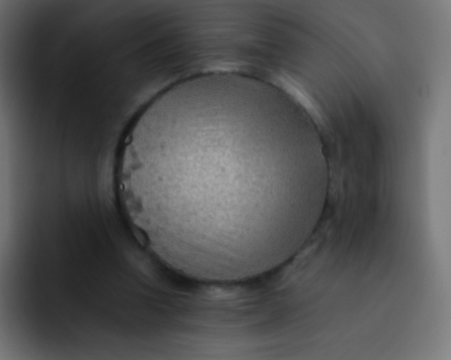 X0000092070346200710031122