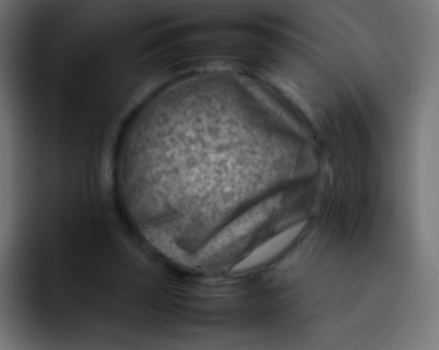 X0000092070347200710031122