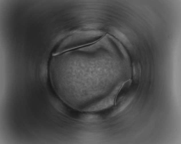 X0000092070348200710031122