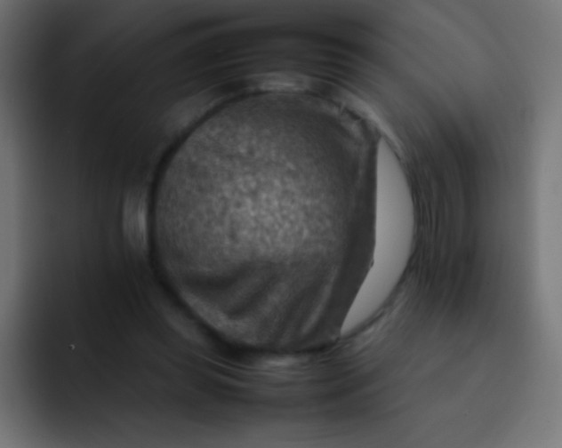 X0000092070349200710031122