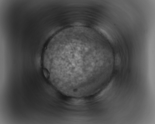 X0000092070351200710031122