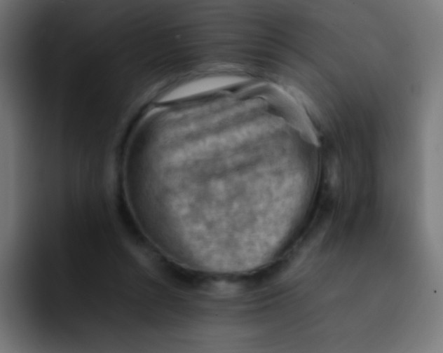 X0000092070352200710031122