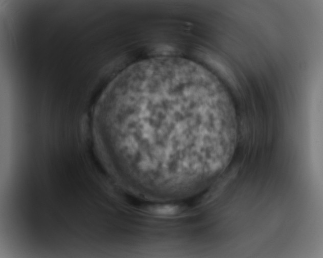 X0000092070361200710031122