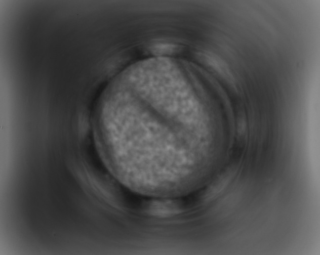 X0000092070367200710031123