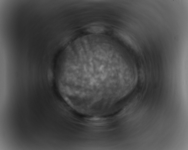 X0000092070371200710031123