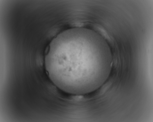 X0000092070374200710031123