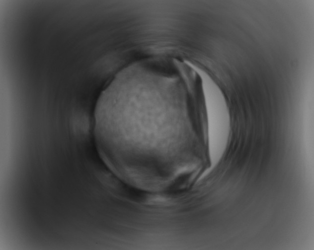X0000092070380200710031123