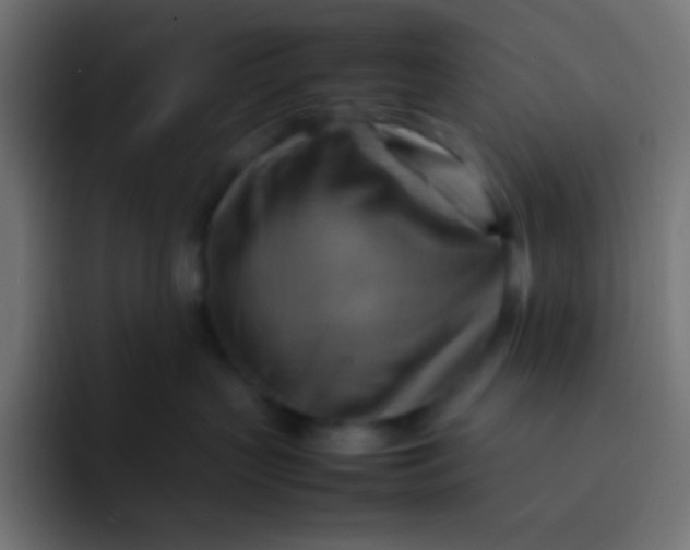 X0000092070383200710031123