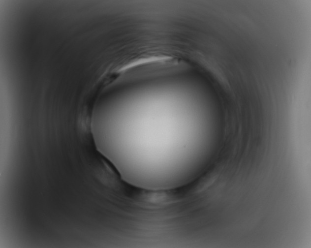 X0000092070384200710031123