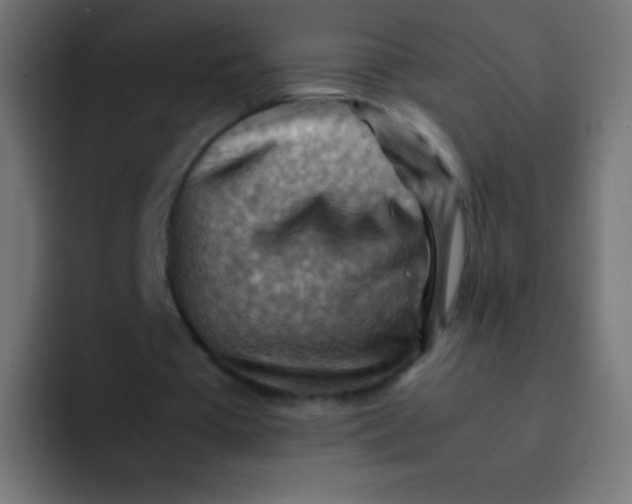 X0000092070385200710031122