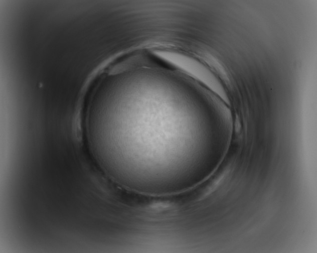 X0000092070388200710031122