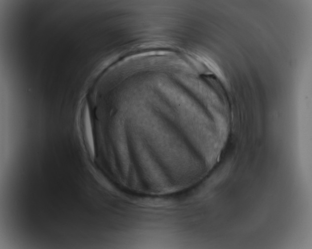 X0000092070389200710031122