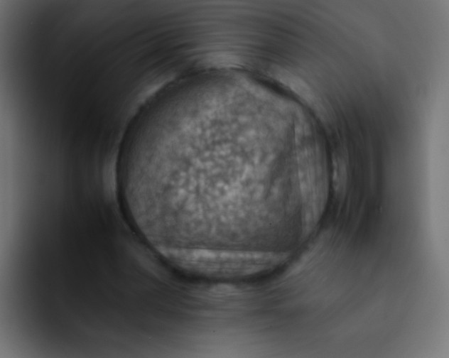 X0000092070390200710031122