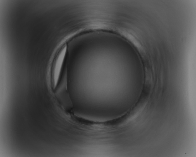 X0000092070391200710031122