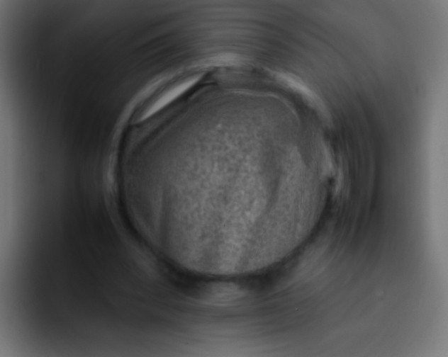 X0000092070392200710031122