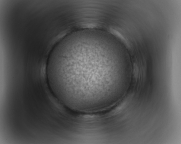 X0000092070394200710031122