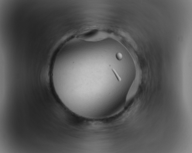 X0000092070395200710031122