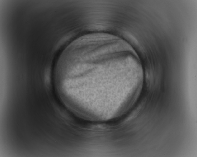 X0000092070396200710031122