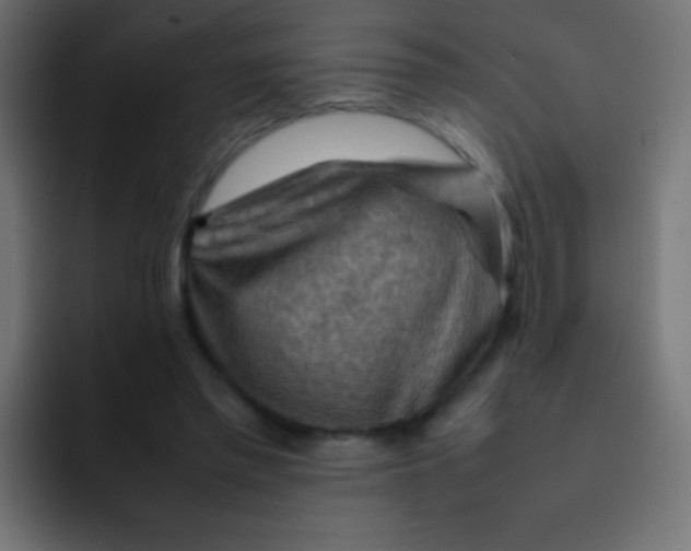 X0000092070397200710031122
