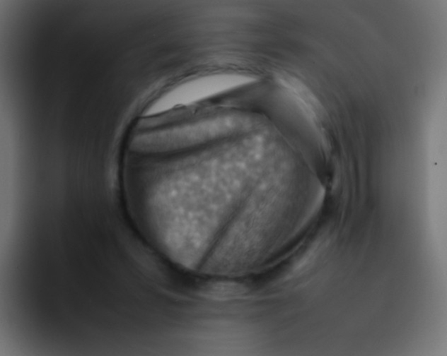 X0000092070399200710031122