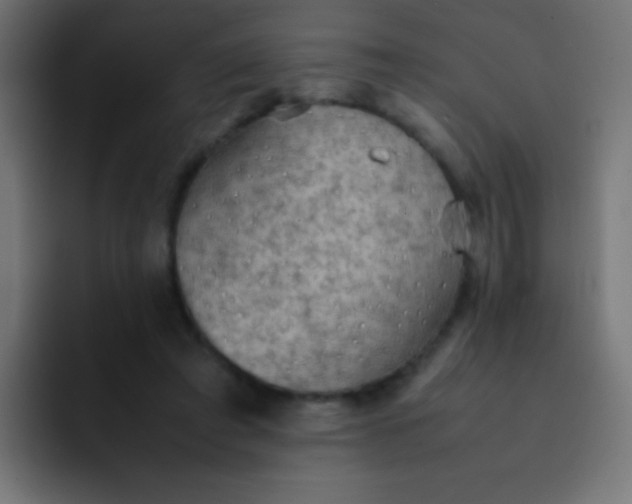 X0000092070401200710031122