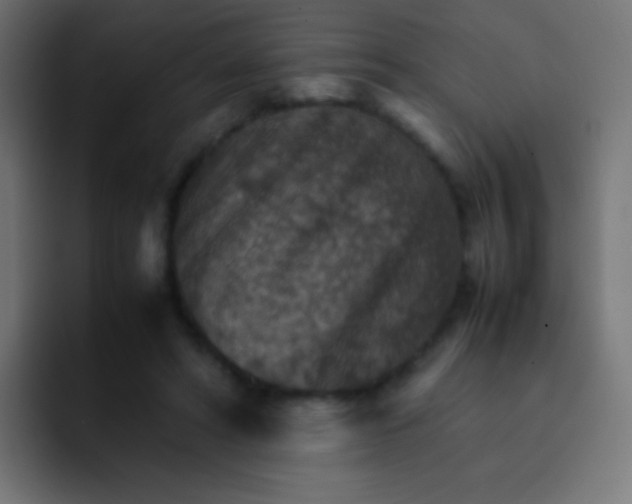 X0000092070402200710031122