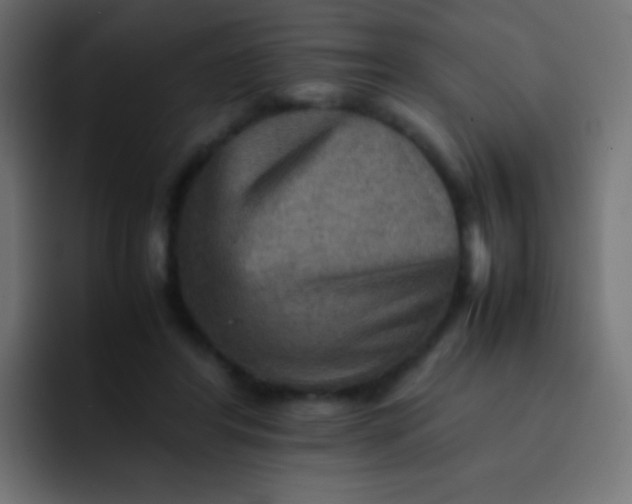 X0000092070404200710031122