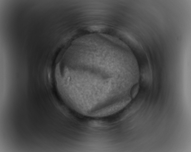 X0000092070408200710031122
