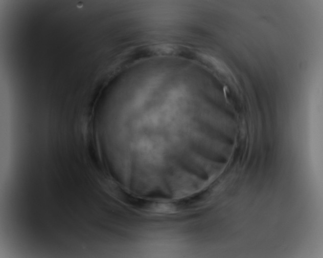 X0000092070409200710031122