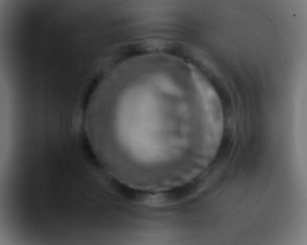 X0000092070411200710031122