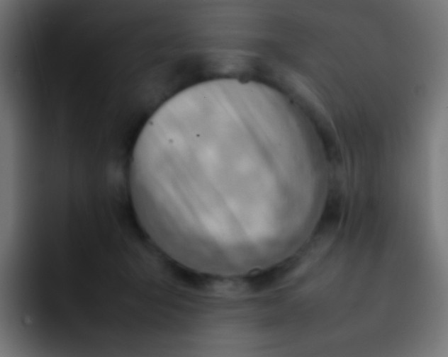 X0000092070415200710031122