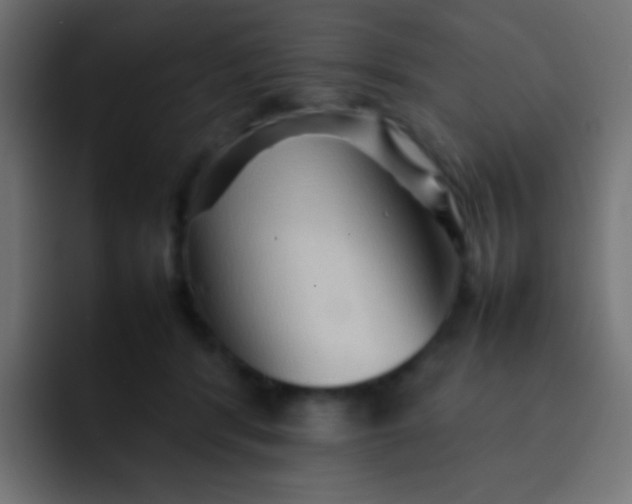 X0000092070416200710031122