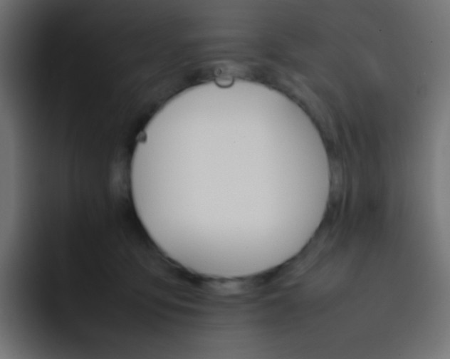 X0000092070419200710031122