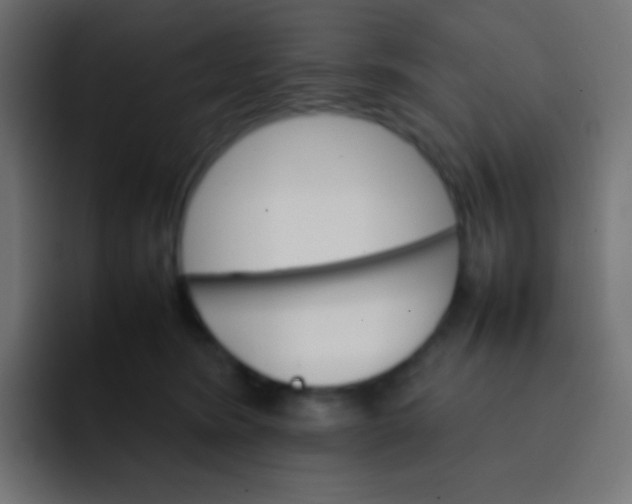 X0000092070420200710031122