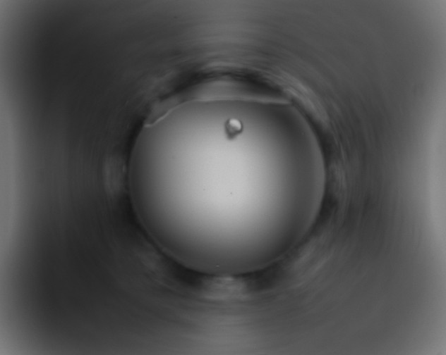X0000092070421200710031122